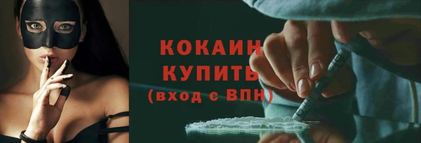 кокс Алексин