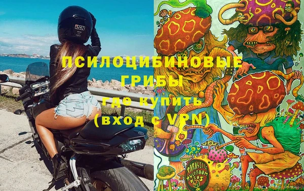 мдпв Магас