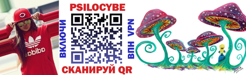 где купить наркотик  Урай  blacksprut ССЫЛКА  Псилоцибиновые грибы Magic Shrooms 
